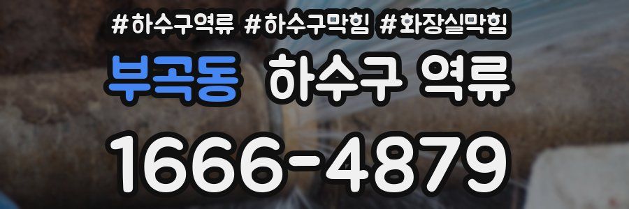 부곡동 하수구 역류