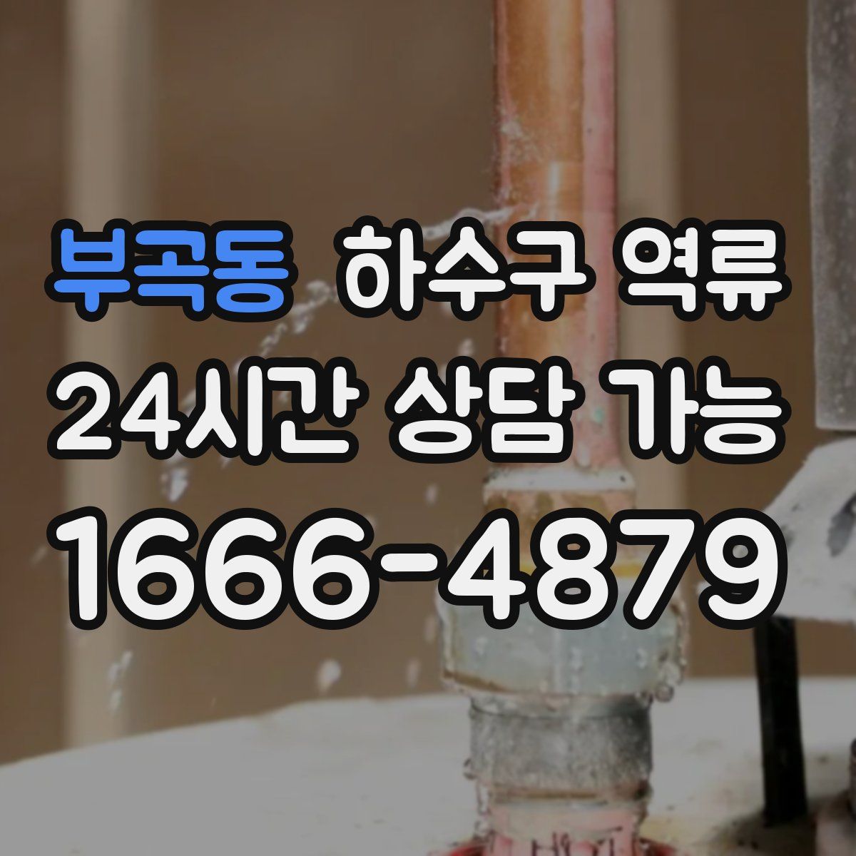 부곡동 하수구 역류