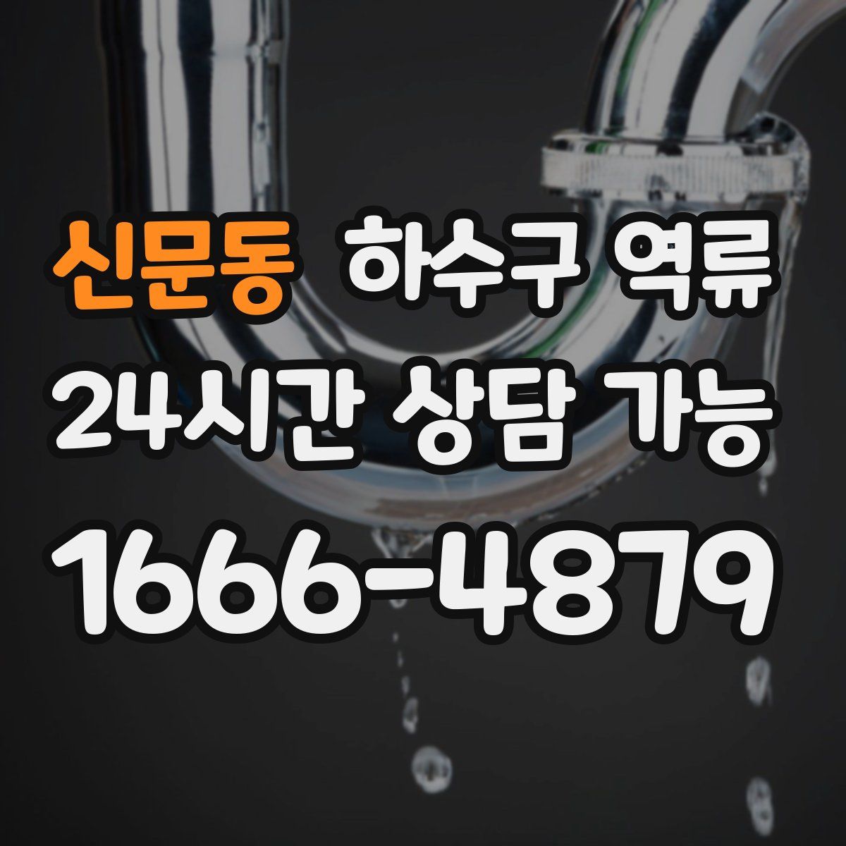 신문동 하수구 역류