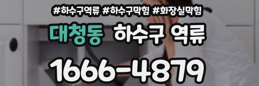 대청동 하수구 역류