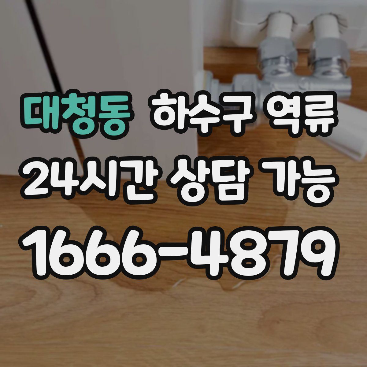 대청동 하수구 역류