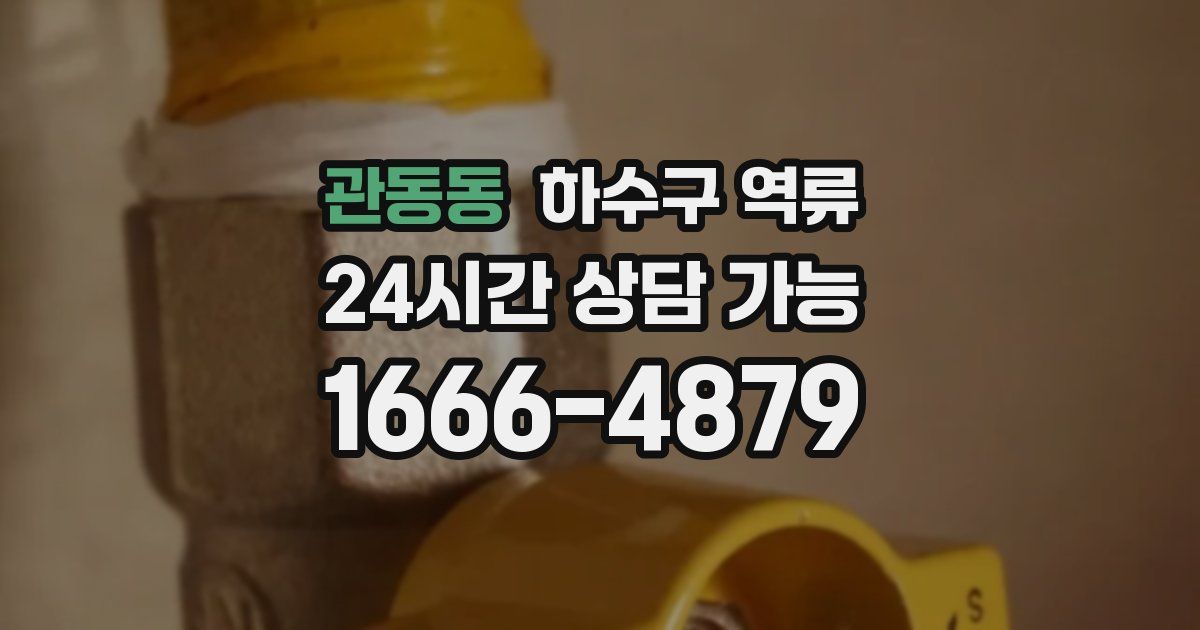 관동동 하수구 역류