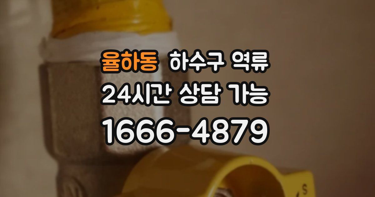 율하동 하수구 역류