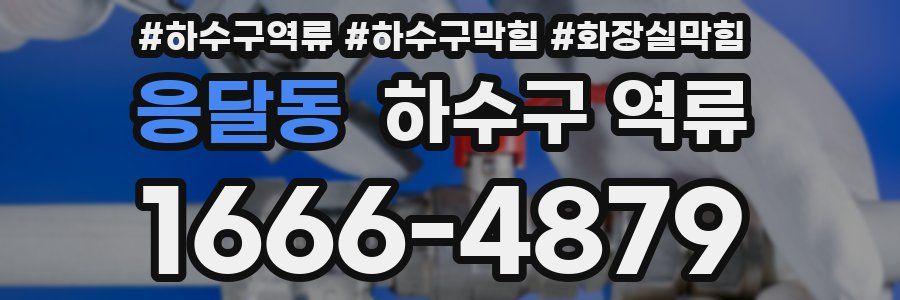 응달동 하수구 역류