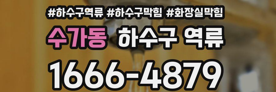 수가동 하수구 역류