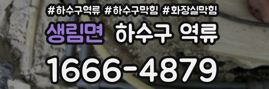 생림면 하수구 역류