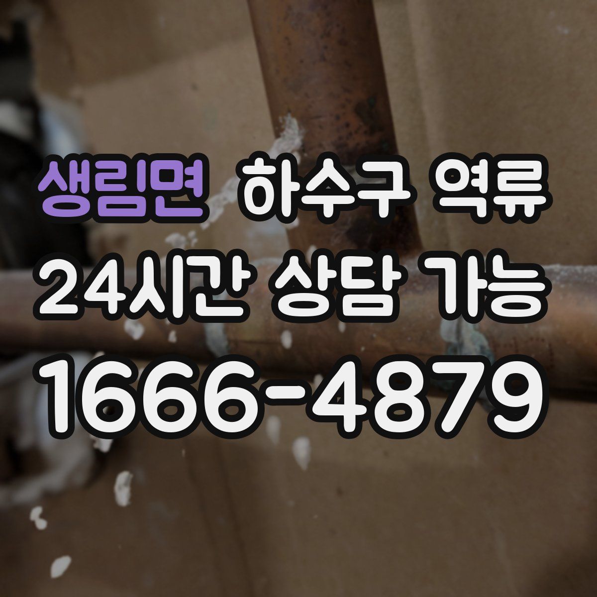 생림면 하수구 역류