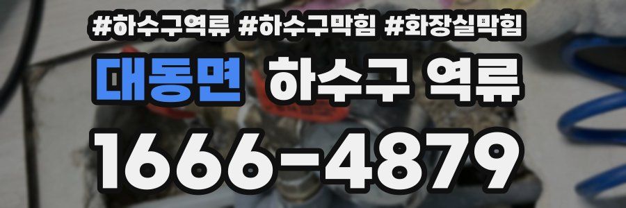 대동면 하수구 역류