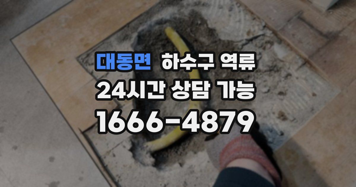 대동면 하수구 역류