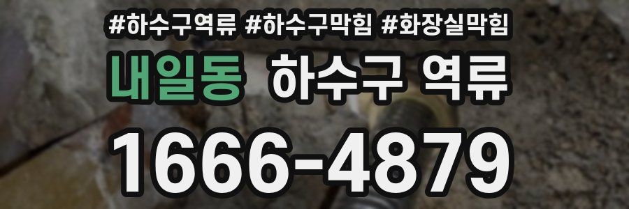 내일동 하수구 역류