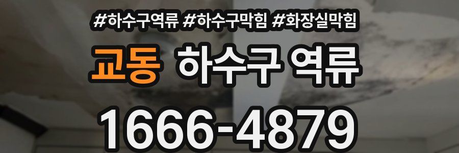 교동 하수구 역류