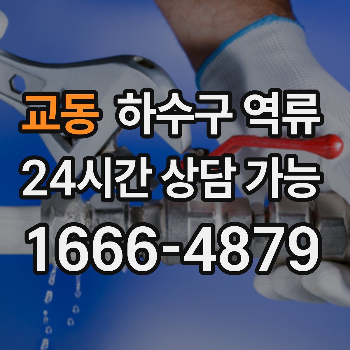 교동 하수구 역류