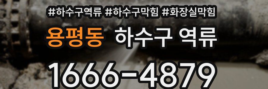 용평동 하수구 역류