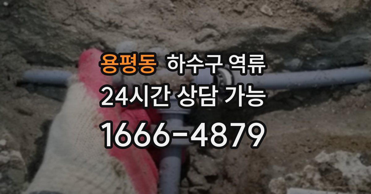 용평동 하수구 역류