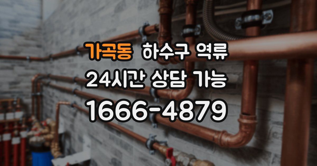 가곡동 하수구 역류