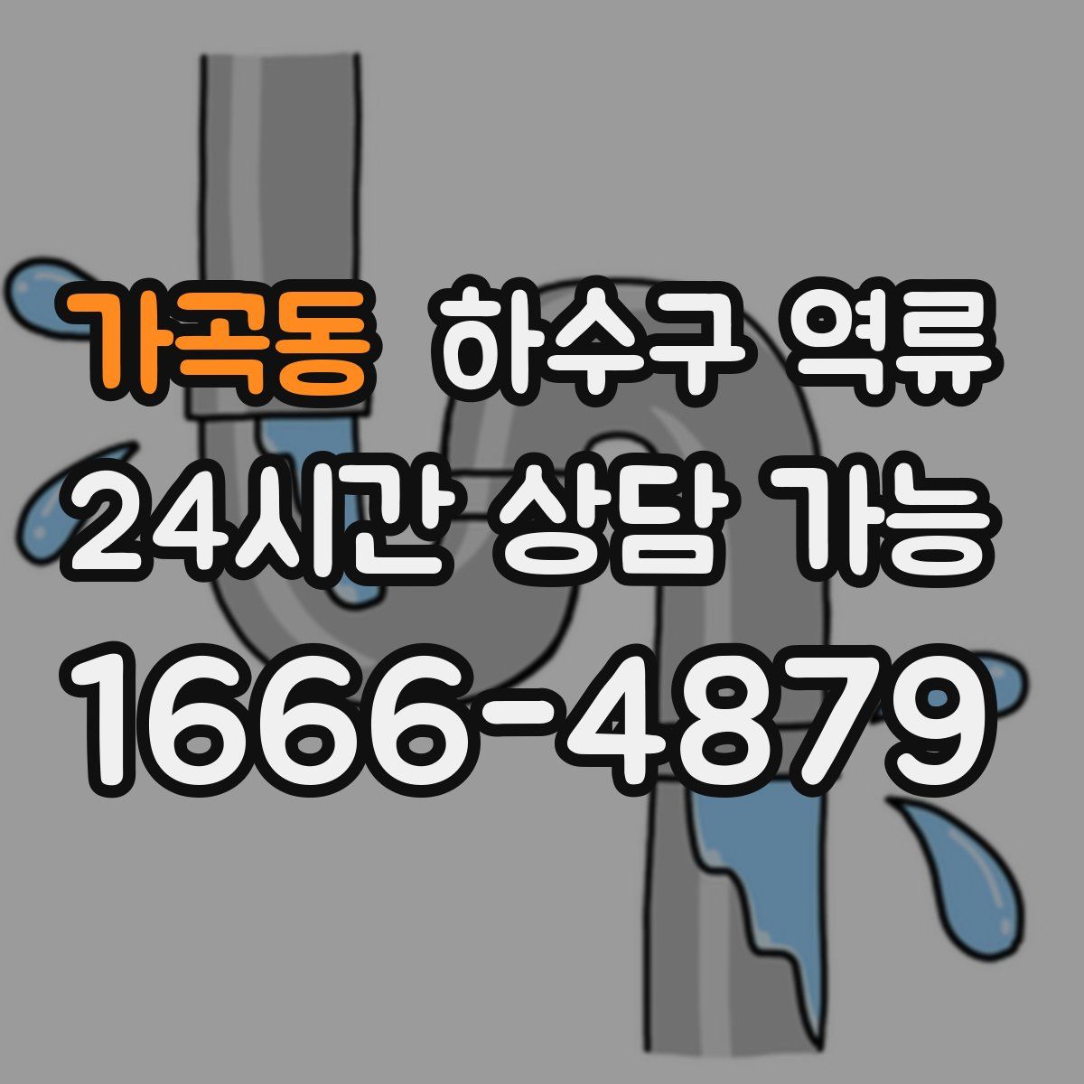 가곡동 하수구 역류