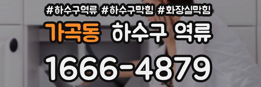 가곡동 하수구 역류