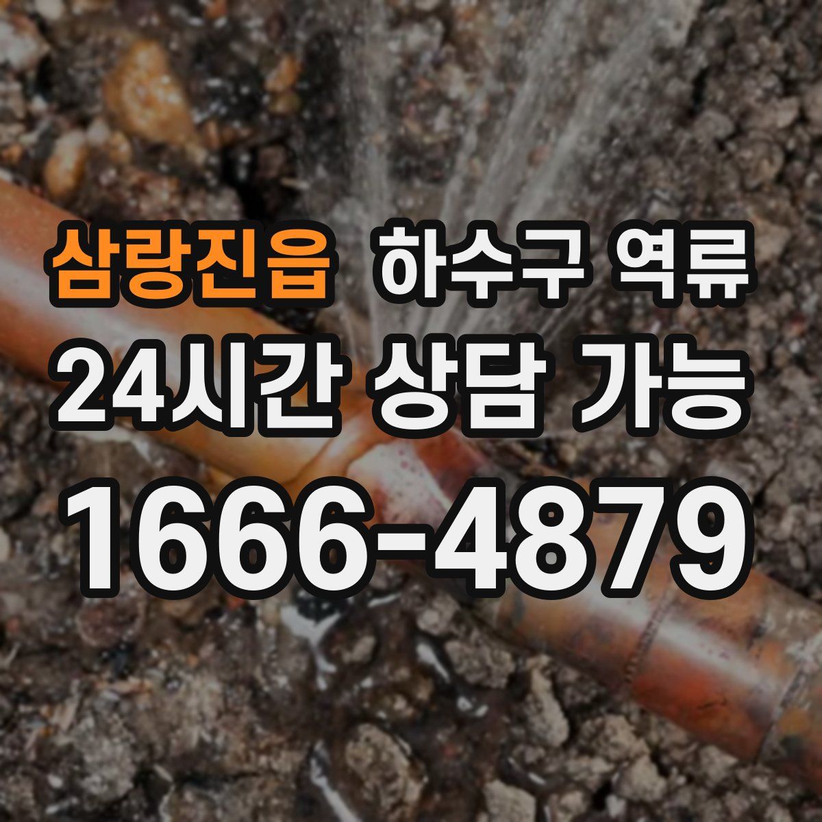 삼랑진읍 하수구 역류