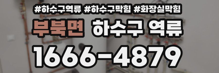 부북면 하수구 역류