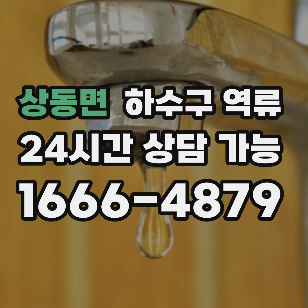 상동면 하수구 역류
