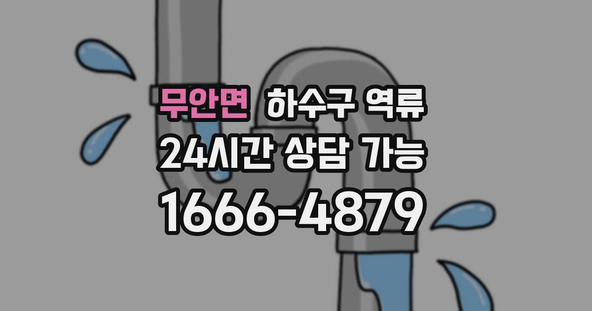 무안면 하수구 역류