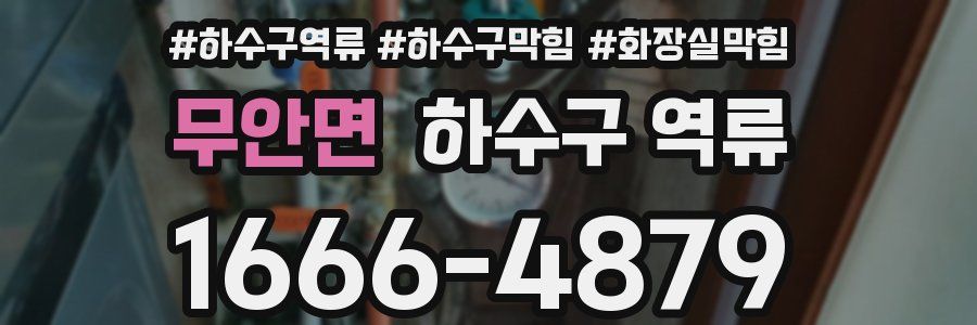 무안면 하수구 역류