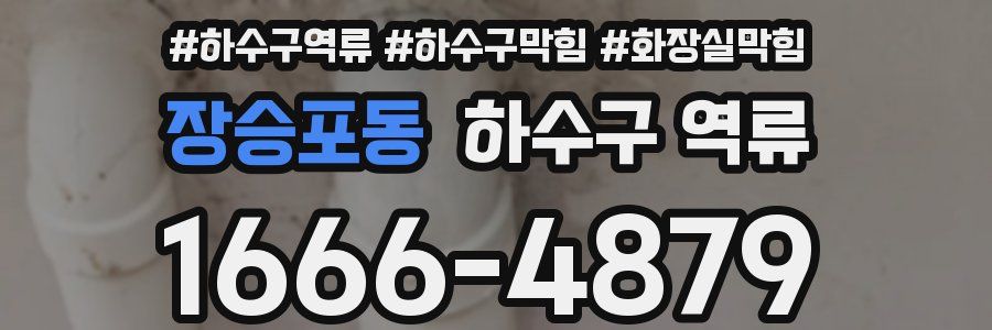 장승포동 하수구 역류