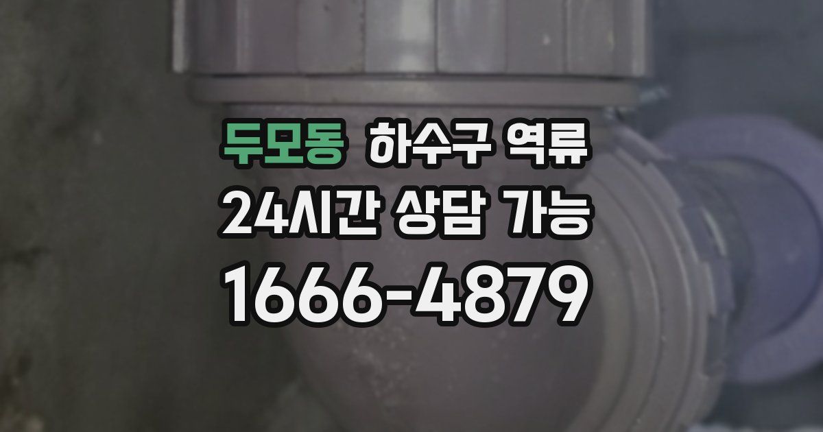 두모동 하수구 역류