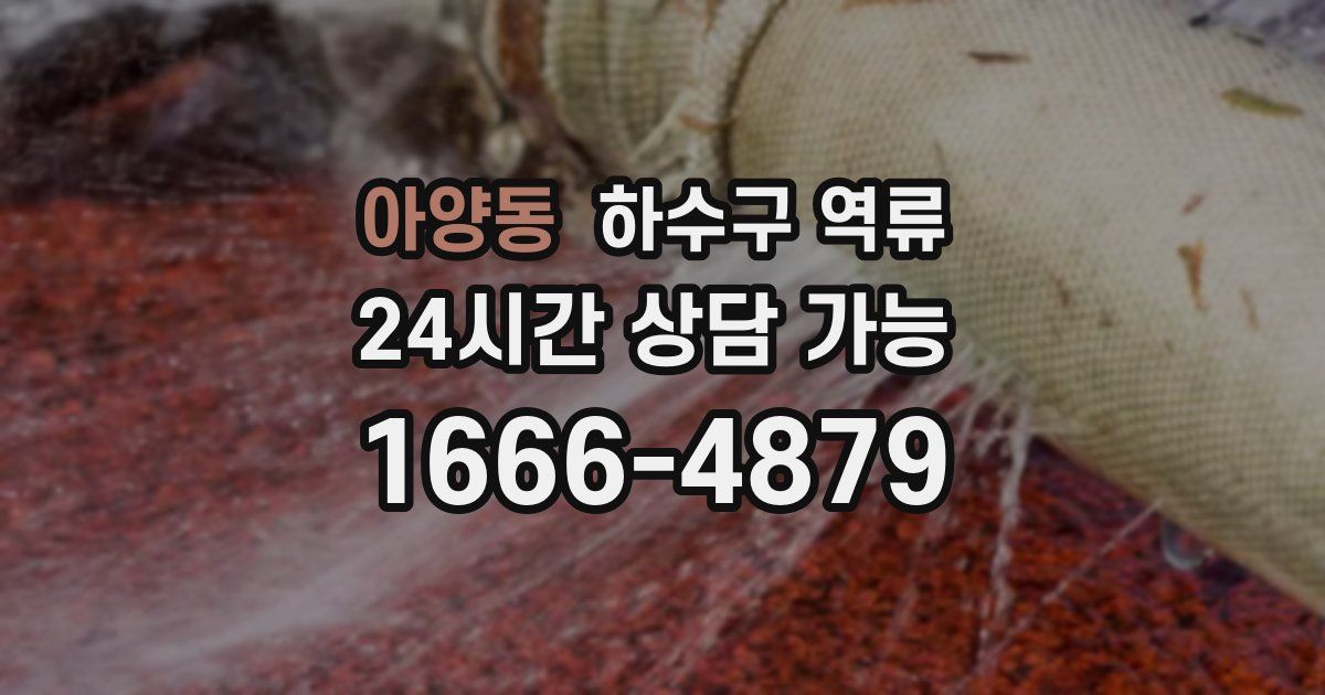 아양동 하수구 역류