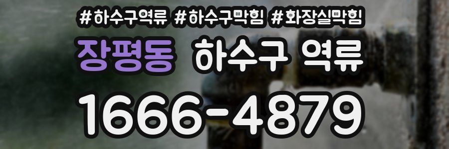 장평동 하수구 역류