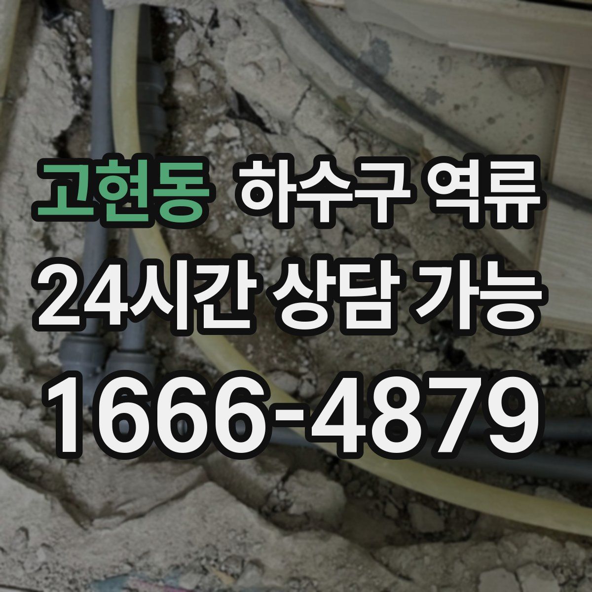 고현동 하수구 역류