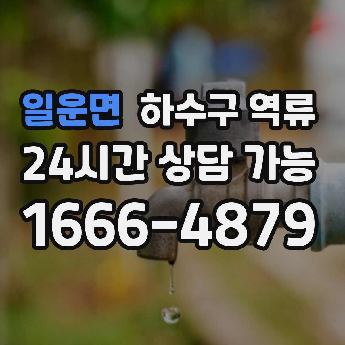 일운면 하수구 역류