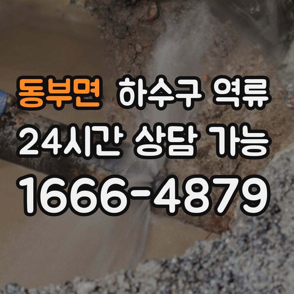 동부면 하수구 역류