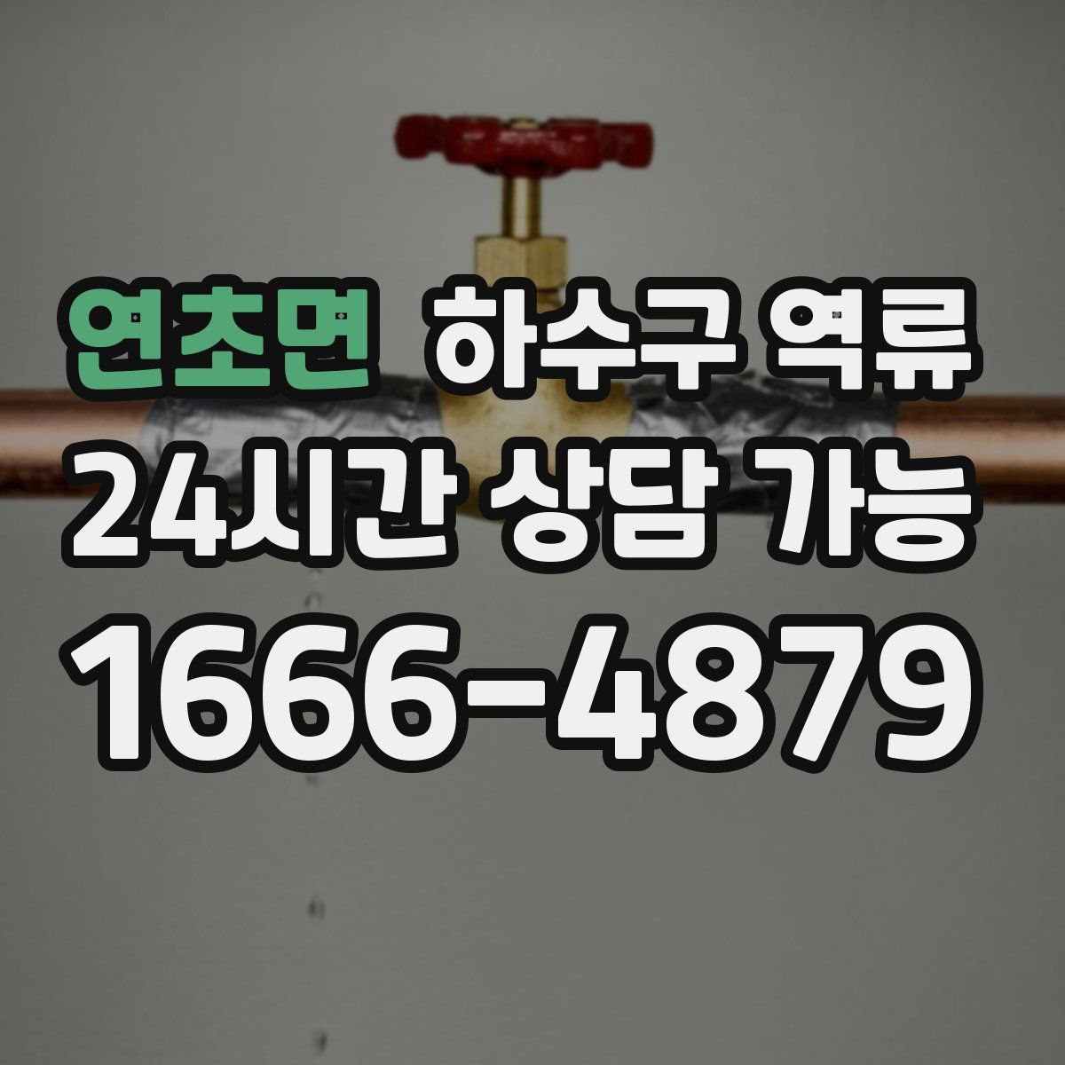 연초면 하수구 역류