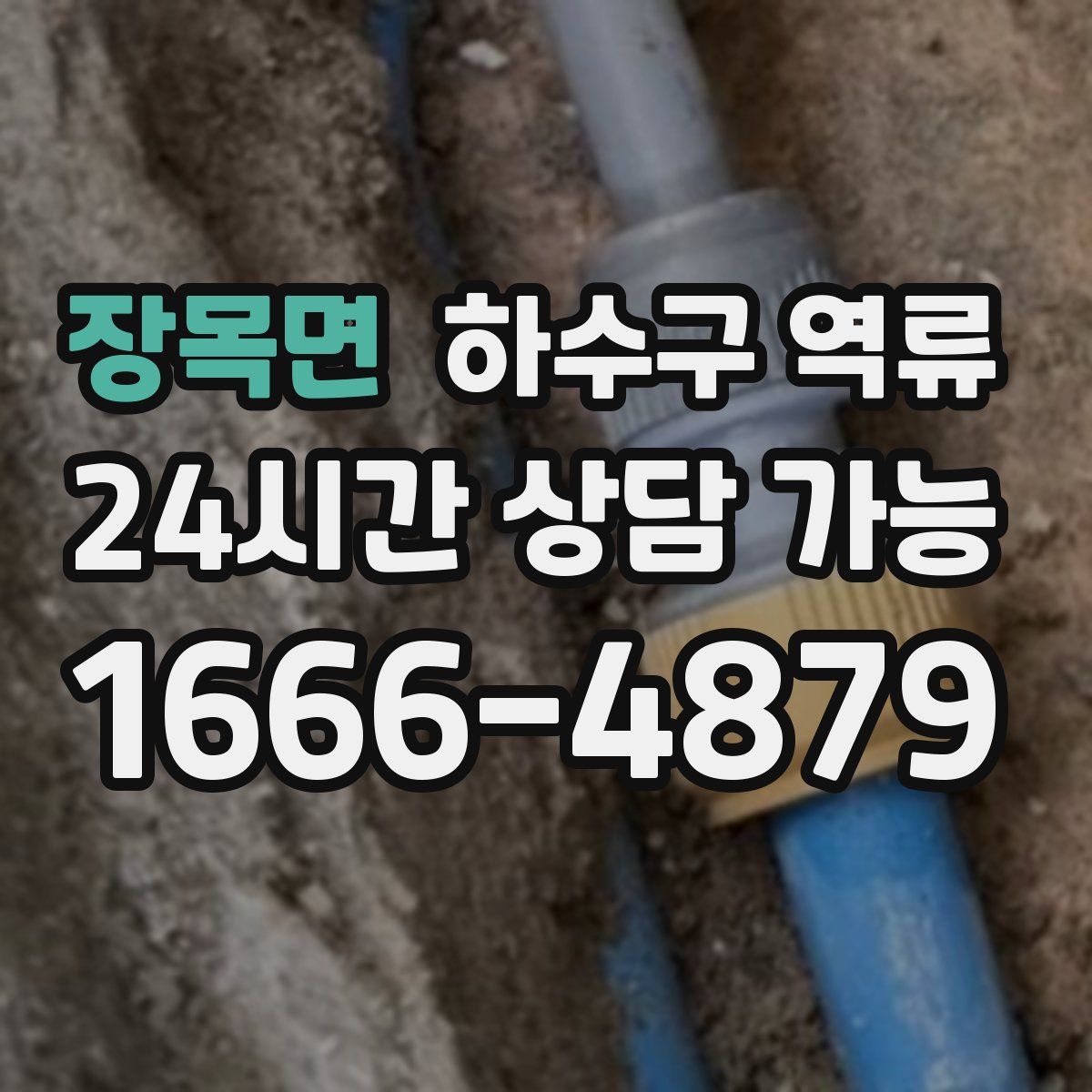 장목면 하수구 역류