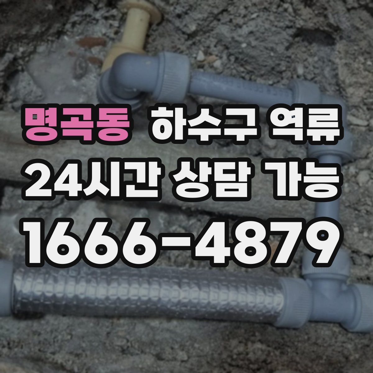 명곡동 하수구 역류