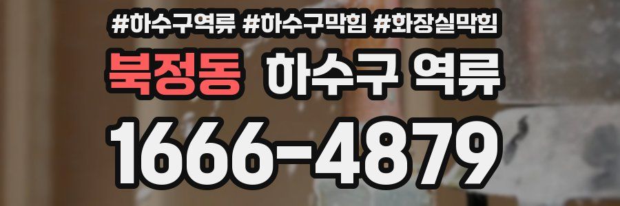 북정동 하수구 역류