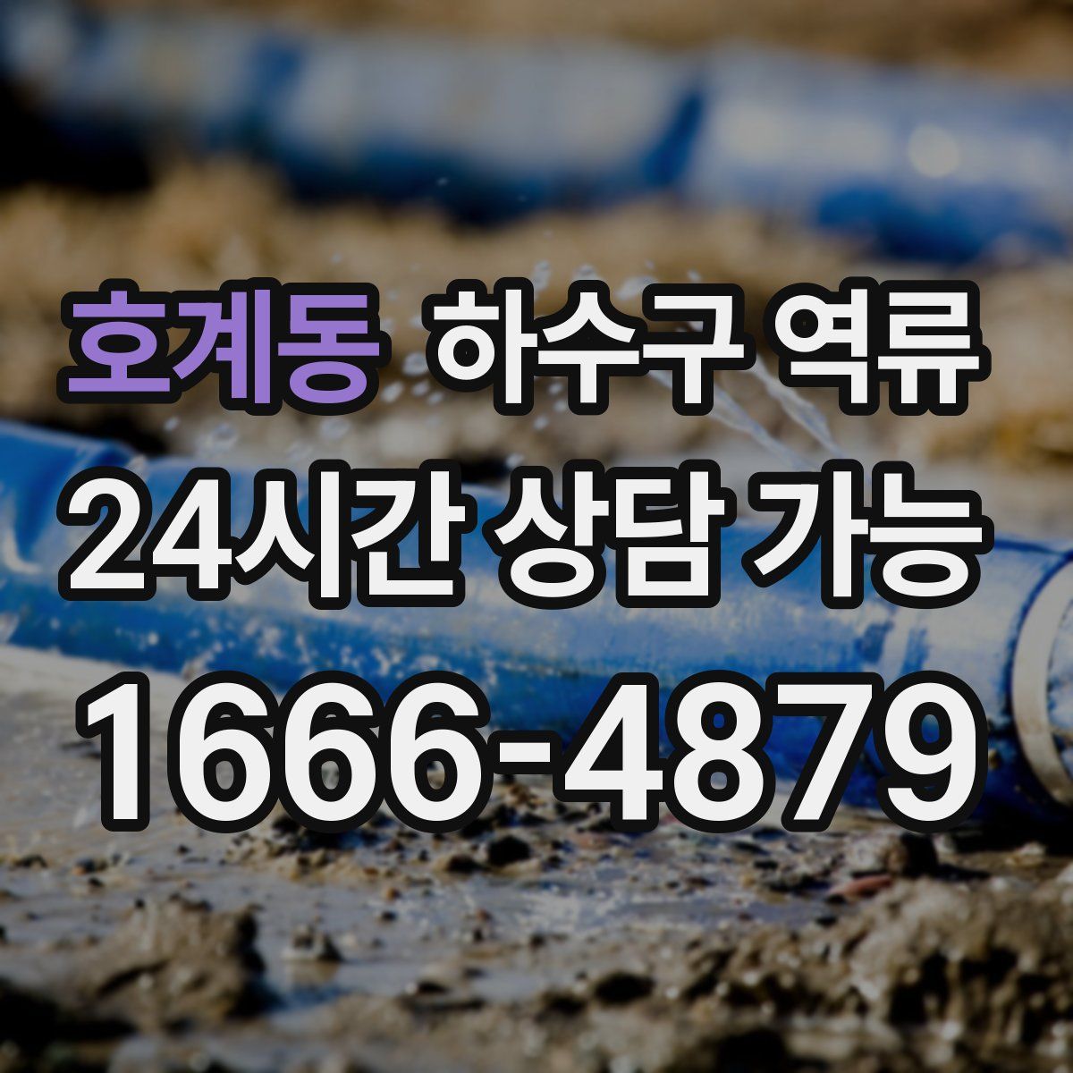 호계동 하수구 역류