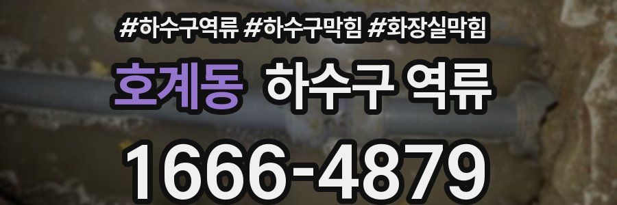 호계동 하수구 역류
