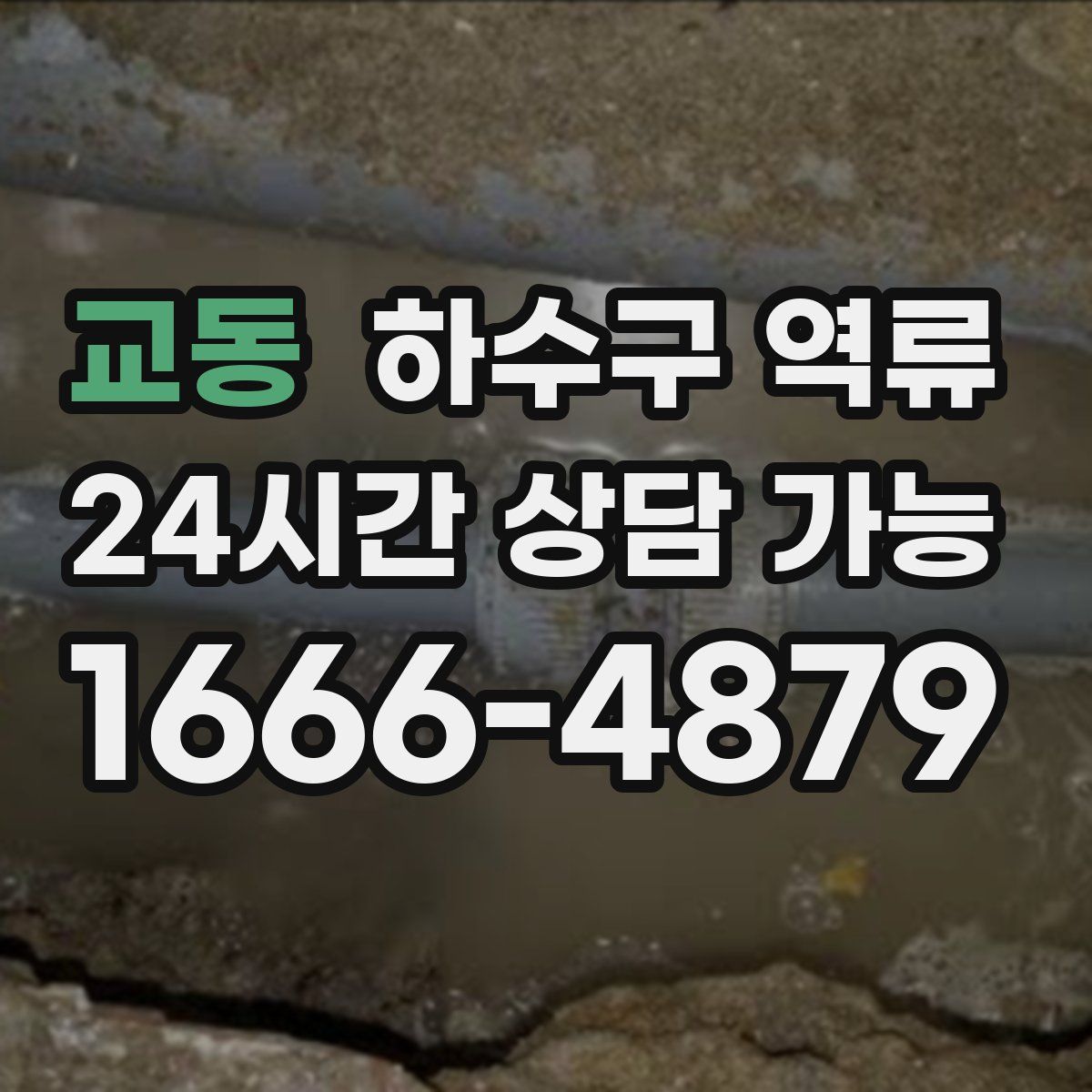 교동 하수구 역류