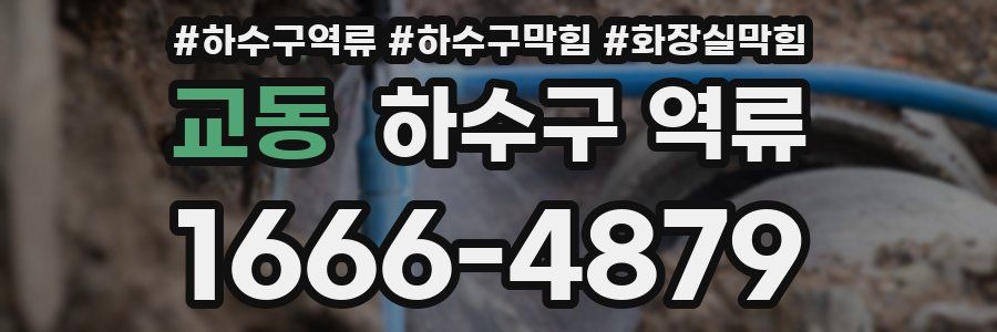 교동 하수구 역류