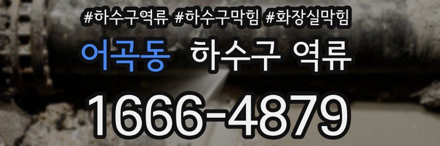 어곡동 하수구 역류