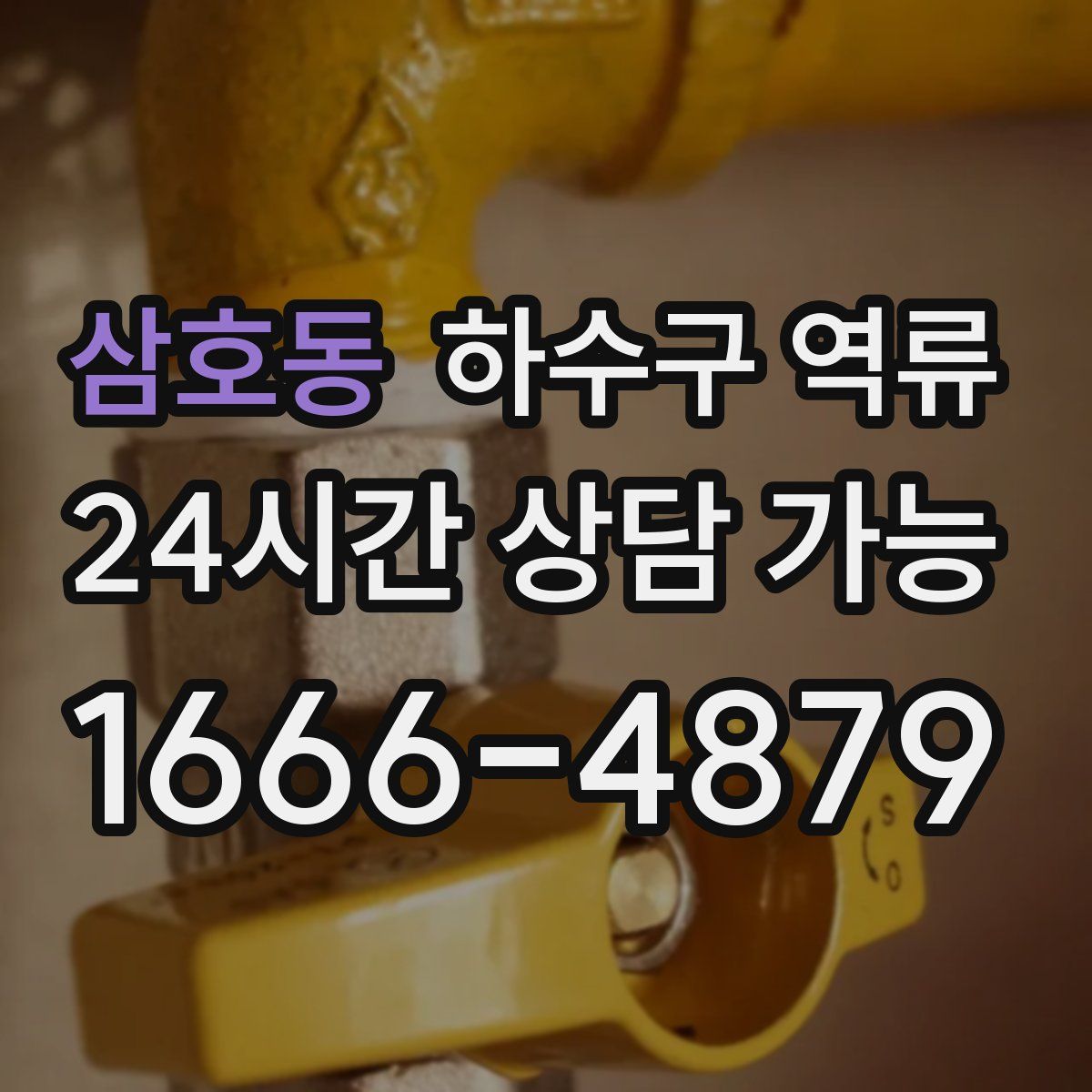 삼호동 하수구 역류