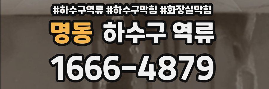 명동 하수구 역류