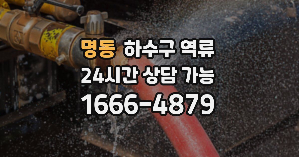 명동 하수구 역류