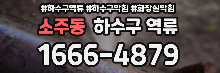 소주동 하수구 역류