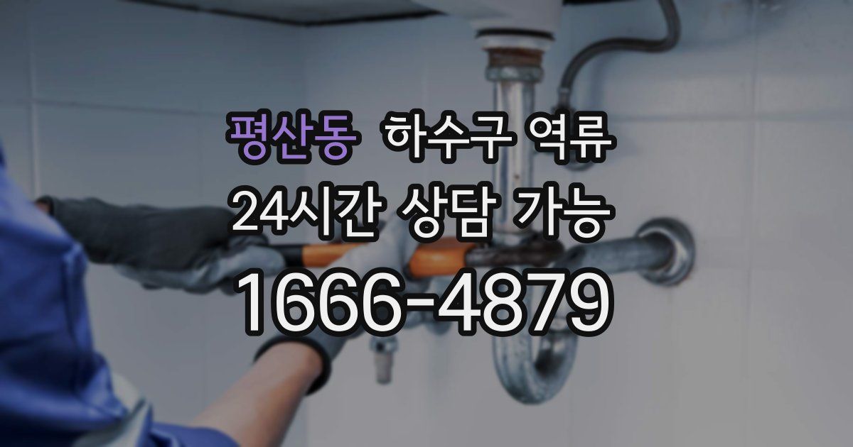 평산동 하수구 역류