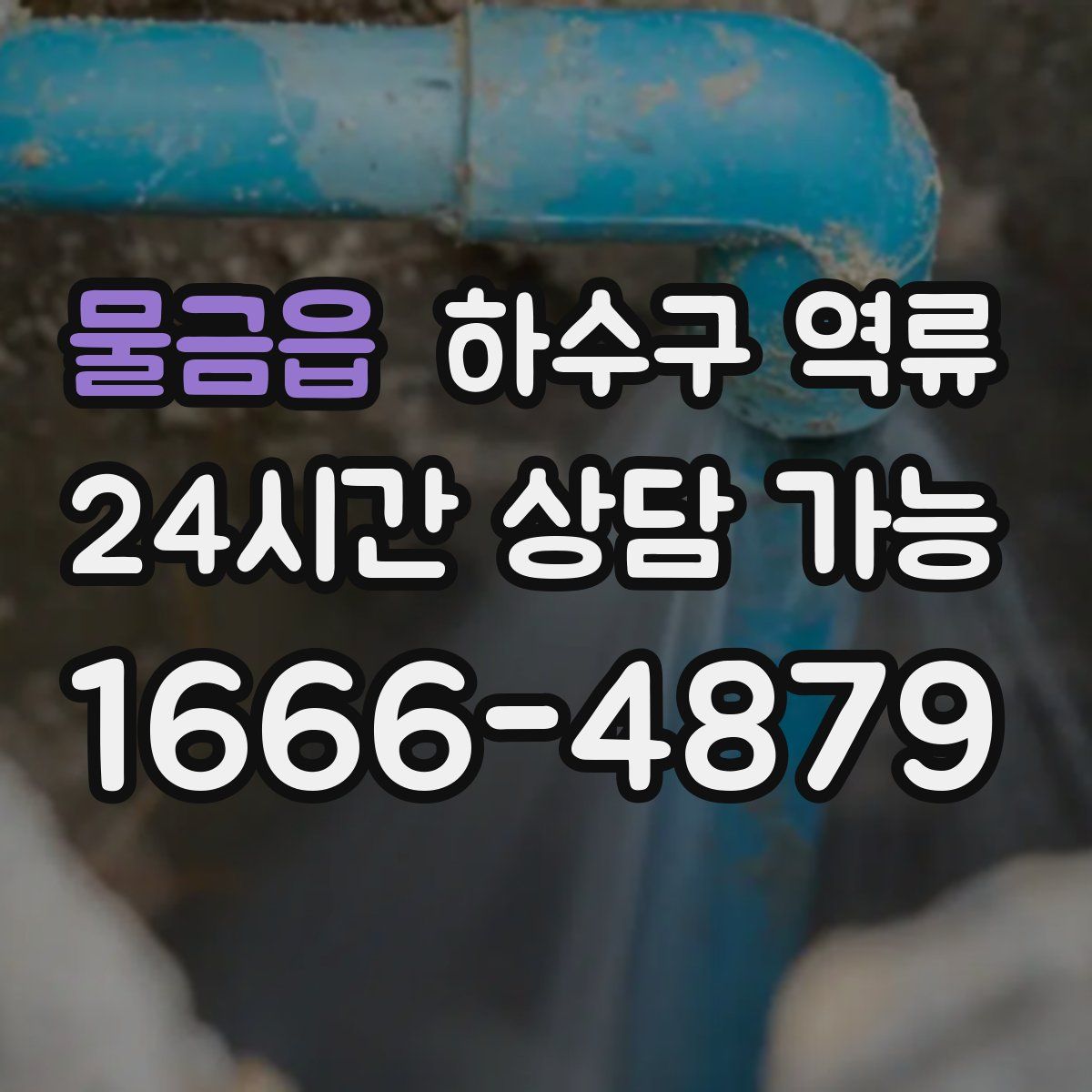 물금읍 하수구 역류