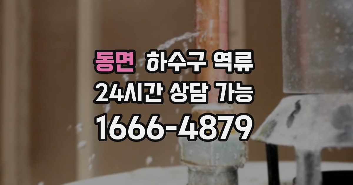 동면 하수구 역류