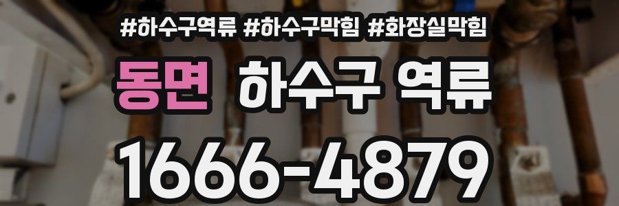 동면 하수구 역류